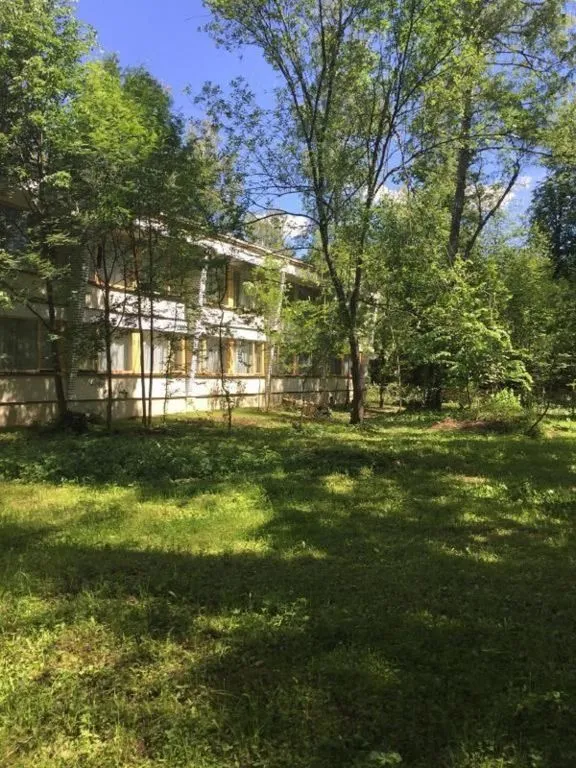 Каморка с лежанкой