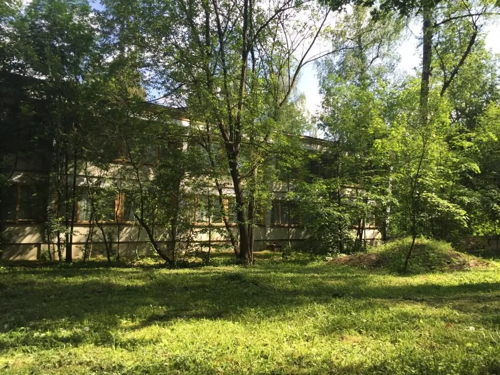 Ежик