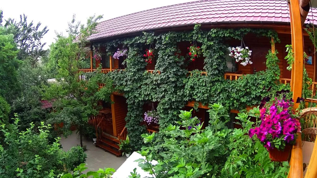Фото отеля «Иволга», 1