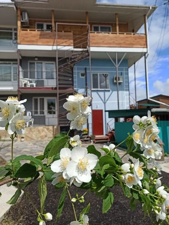 Мария