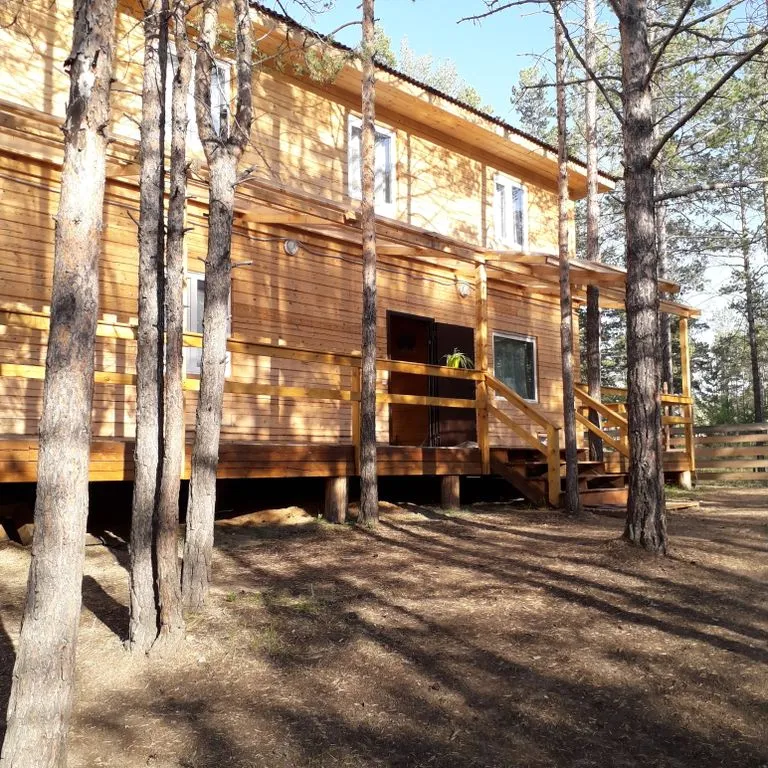 Фото отеля «Ольхонский лес», 1