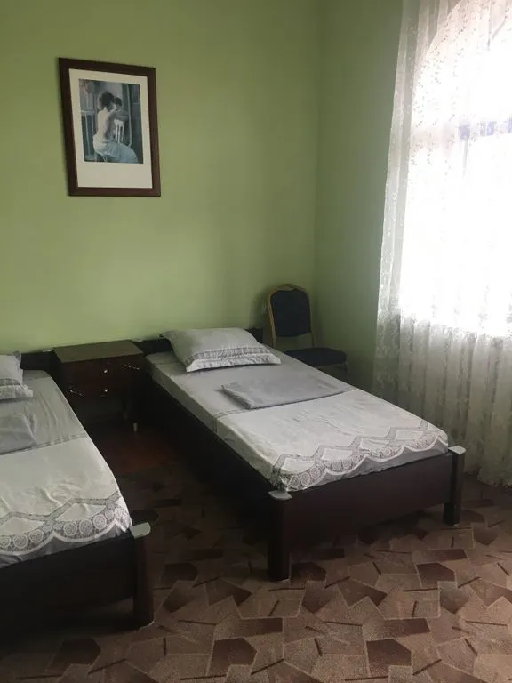 Двухместный номер с 2 отдельными кроватями стандарт с видом на город