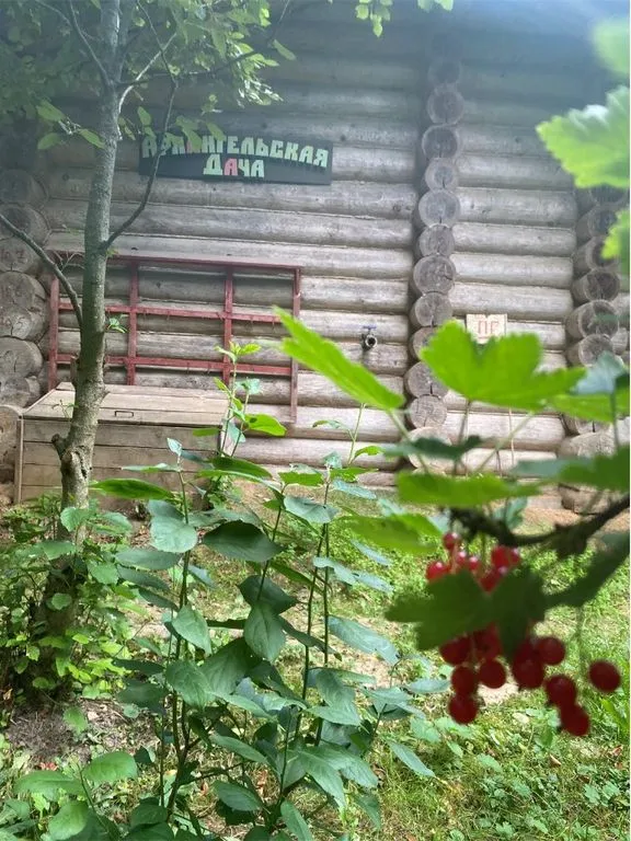 Фото отеля «Архангельская дача», 4