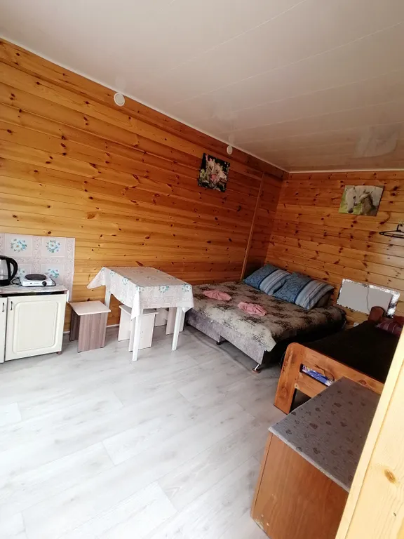Трёхместный номер семейный номер с мини кухней