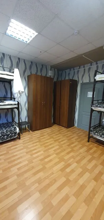 Спутник