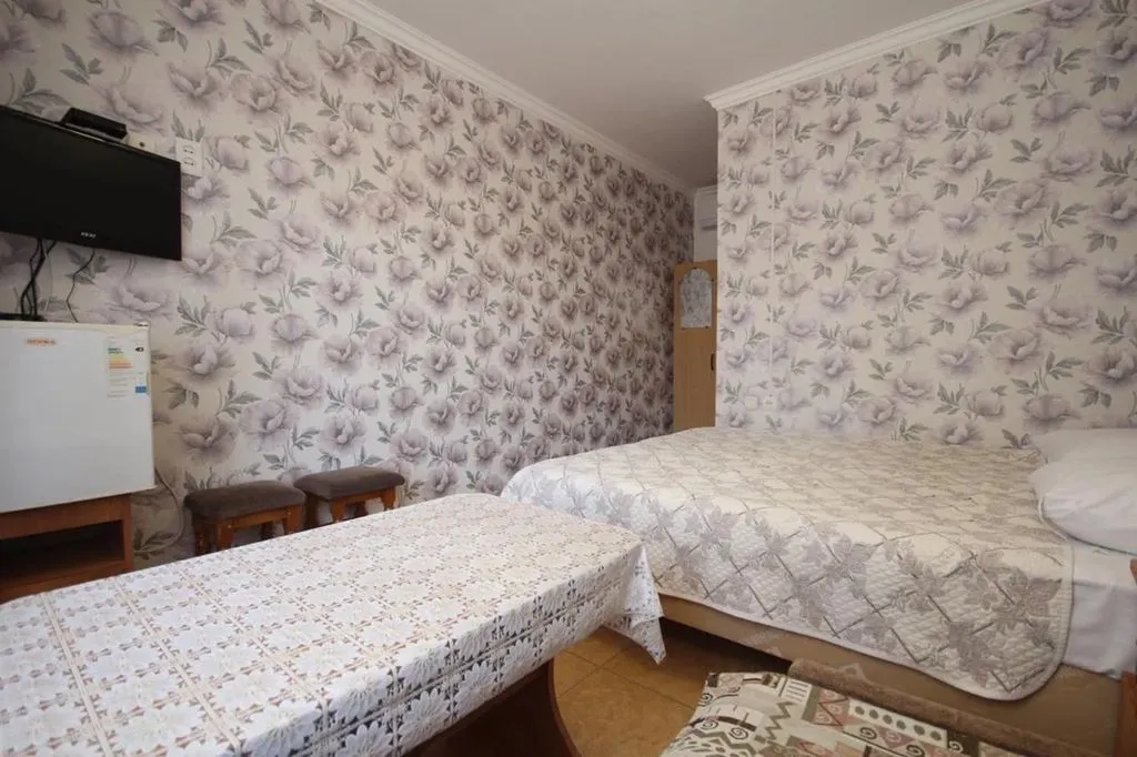 Фото отеля «Алёна», 3