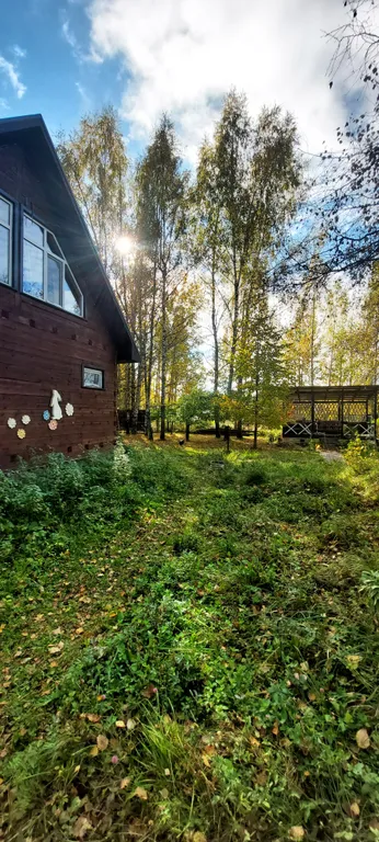 Дом в лесу с баней, бильярдом, эко-фермой и волейболом, Дмитров — фото 3