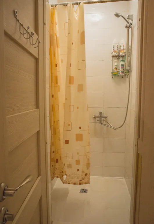 Фото отеля «Guest house on Baskov», 4