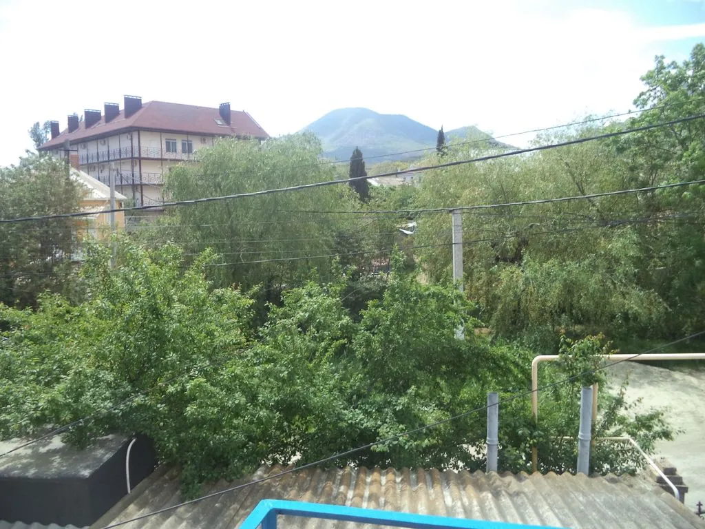 Арчи