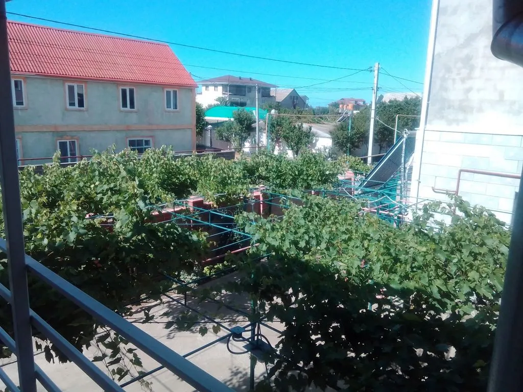 Аист
