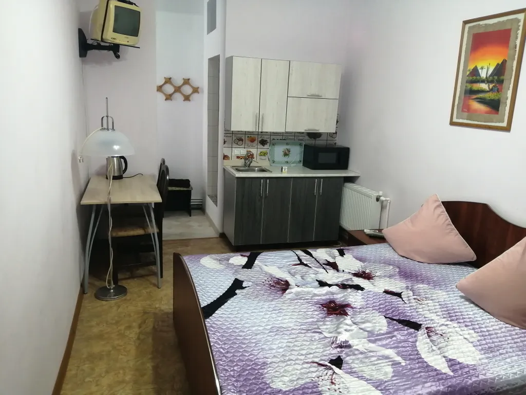Двухместный номер с 1 кроватью Стандарт с кухней