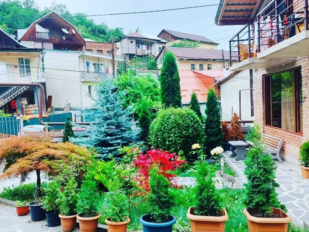 ГиоМаНи Боржоми
