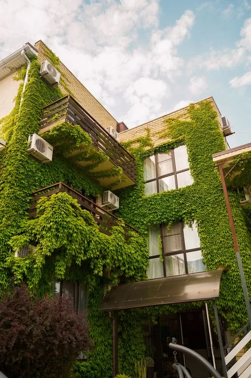 Отель «Villa Vitaliya», Ейск — фото 4