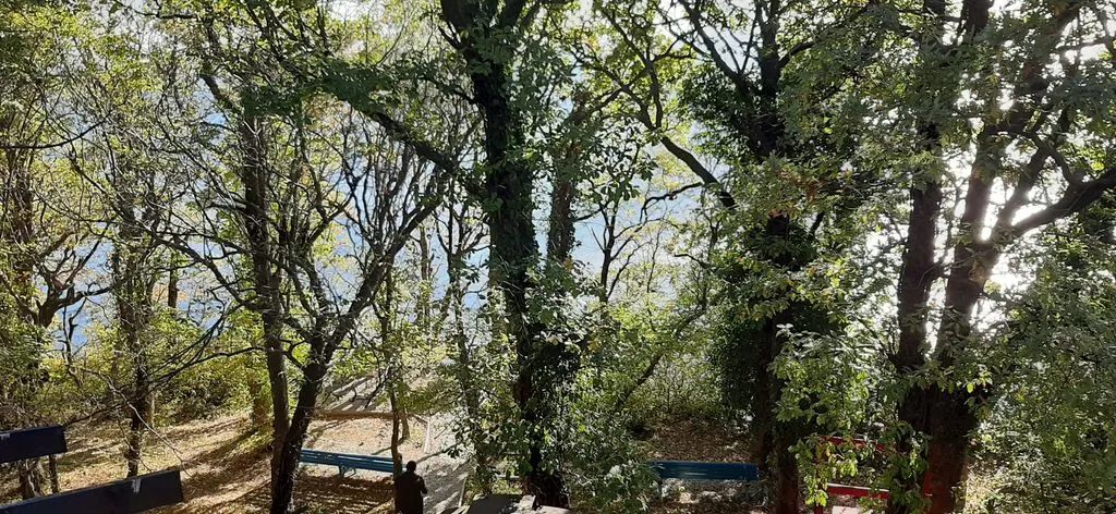 Отель «Green Wood», Джубга — фото 12