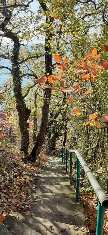 Отель «Green Wood», Джубга — фото 14