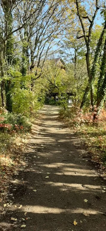 Отель «Green Wood», Джубга — фото 15