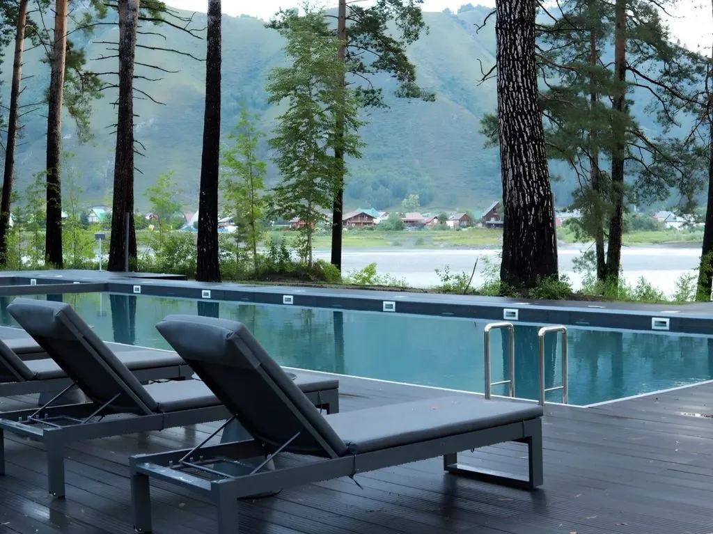 Хвоя в горах