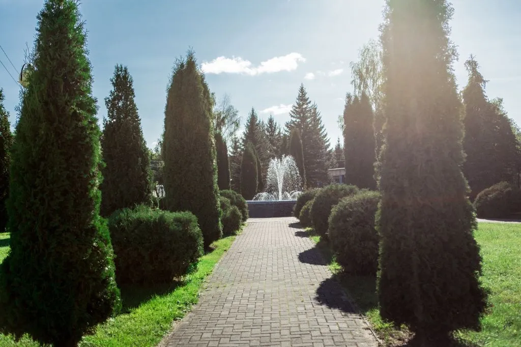 Фото отеля «Ореховый сад», 2