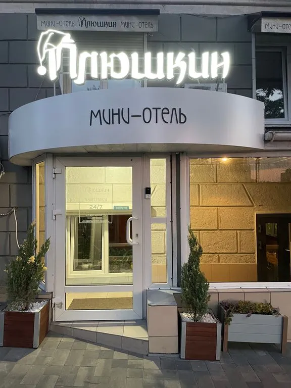 Плюшкин