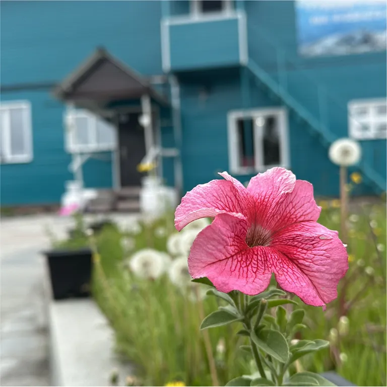 Тихая Гавань