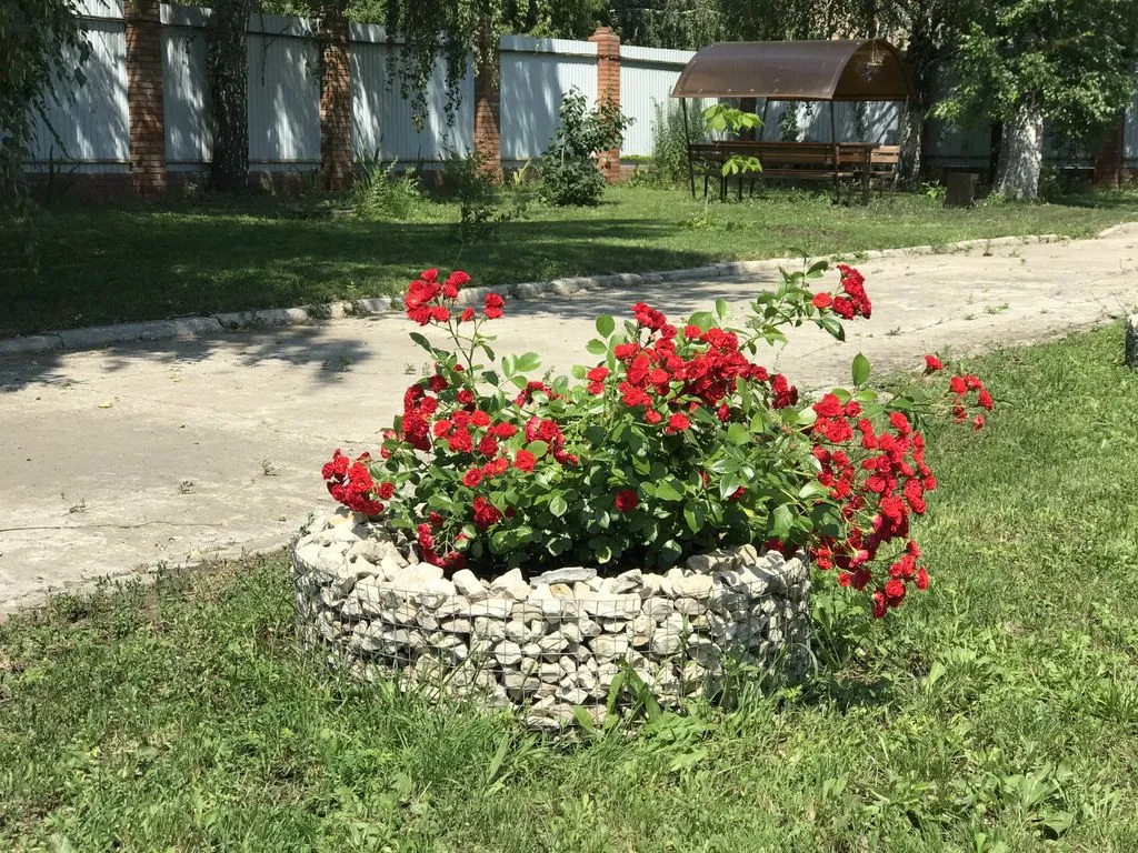 Мини-гостиница «Баргузин», Тольятти — фото 18