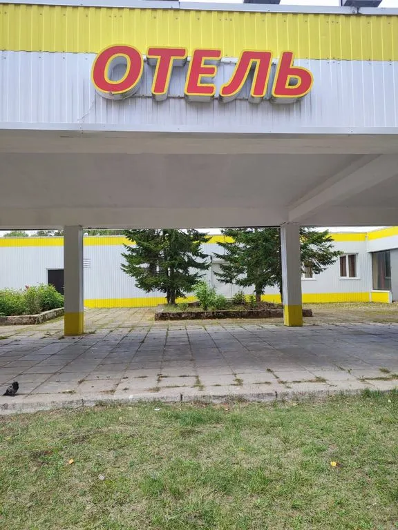 Бор