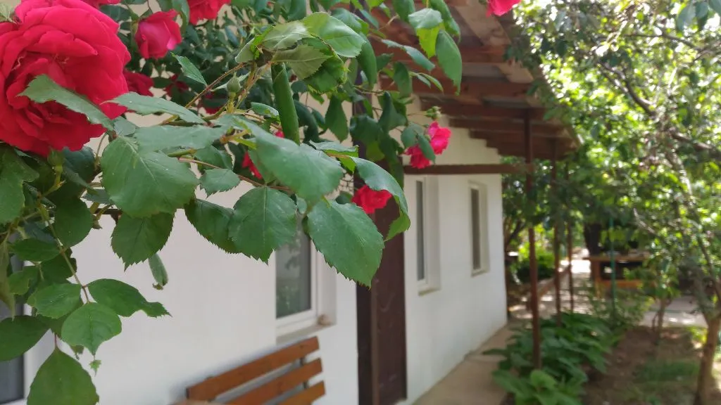 Частная усадьба Сим-Сим