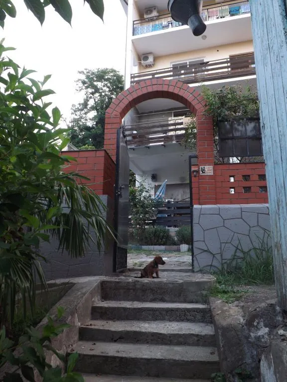 "КатеринаПлюс"