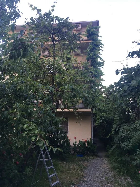 Арина