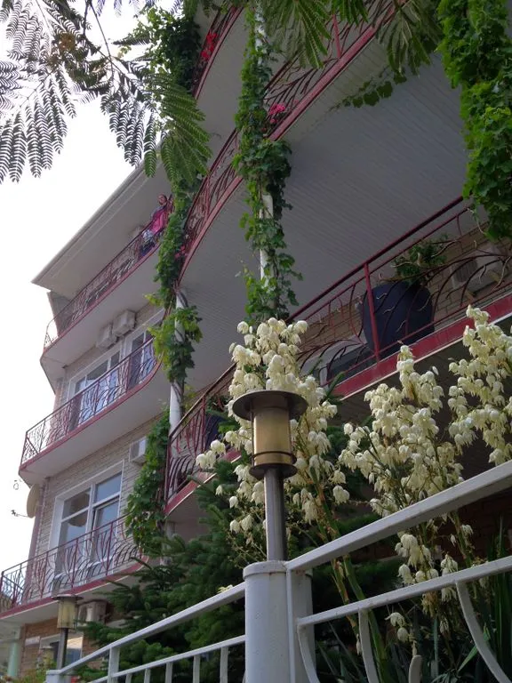 У Верблюжьих горбов