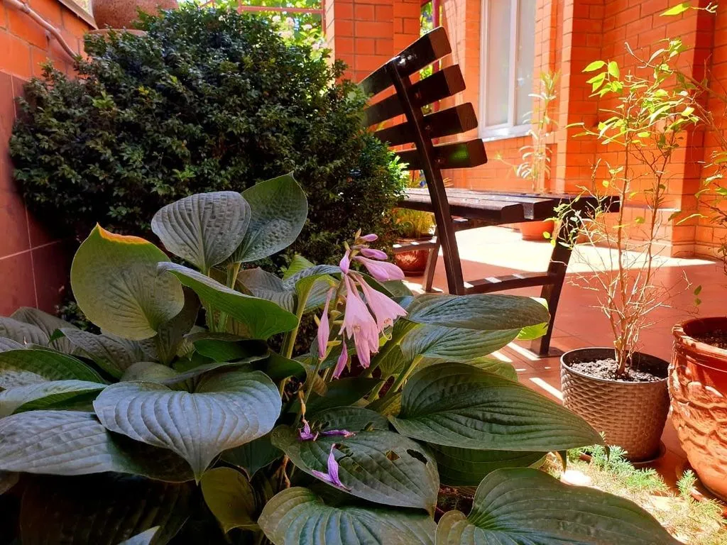 Аквамарин