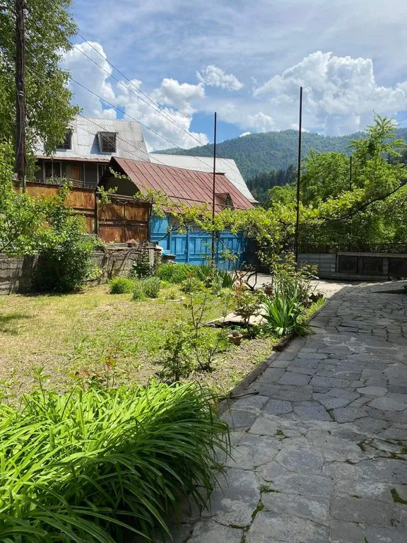 Уютный дворик вблизи леса