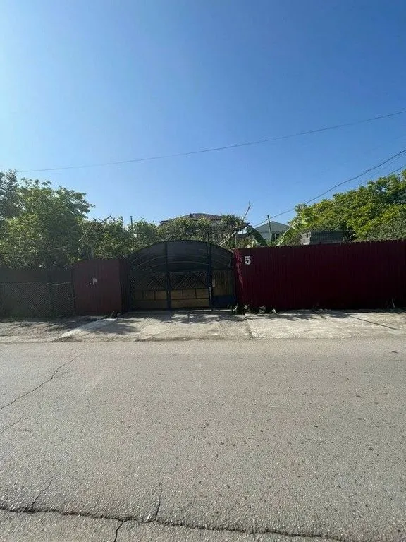 Пальмито