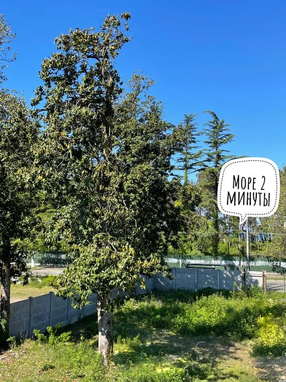 Nona's House and Aparts