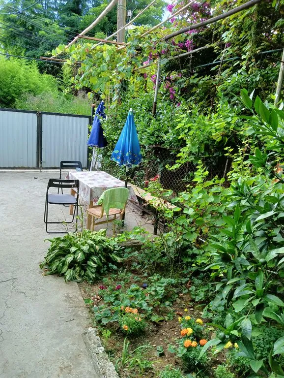 У Елены и Владимира