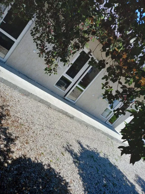 У Яны и Армана