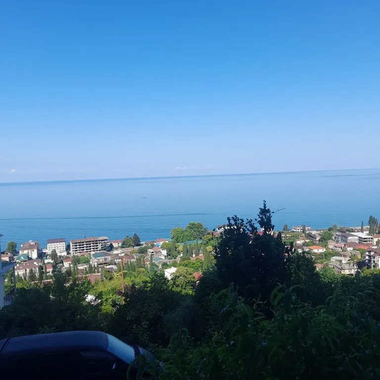 Под соснами
