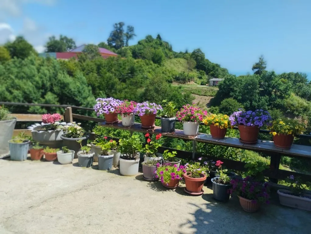 У Татьяны и Карена