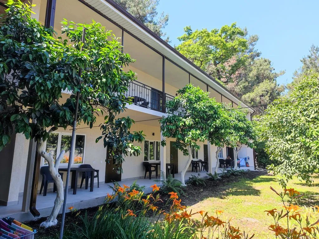 Сосновый рай