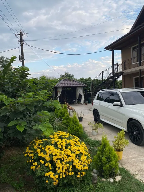 Александрия