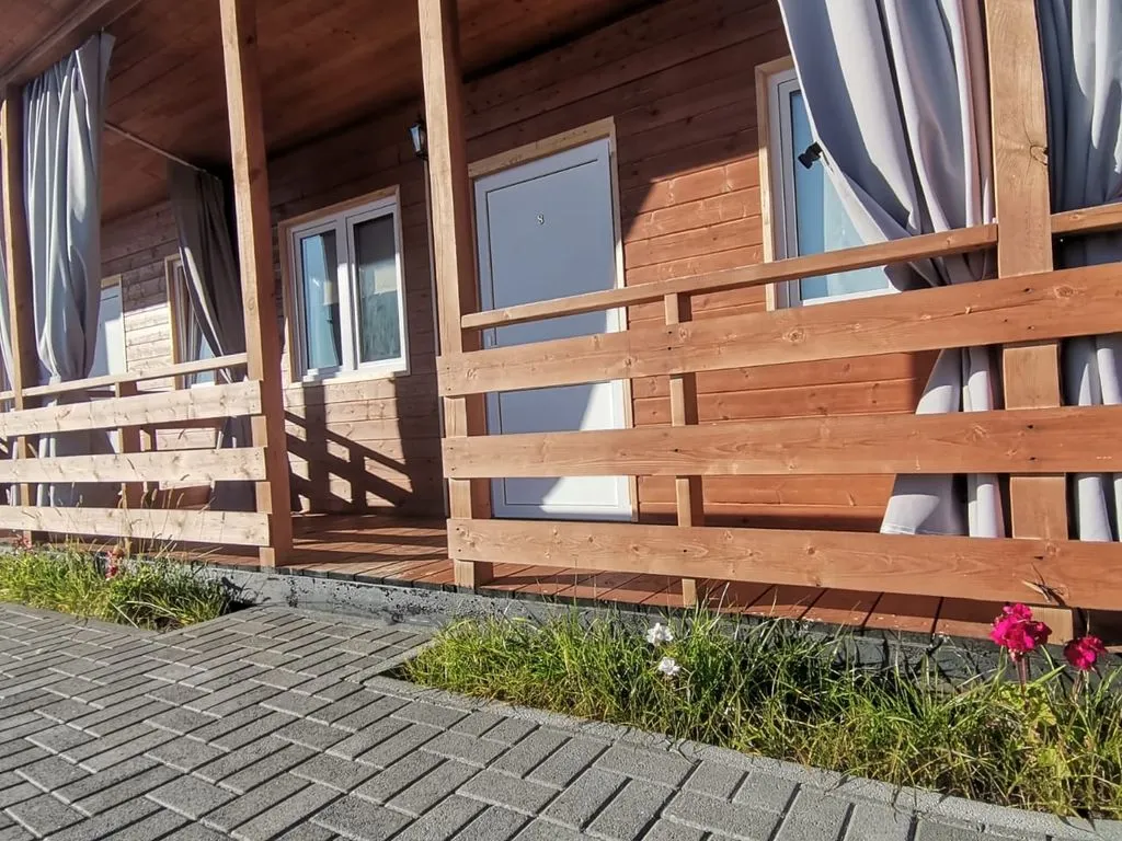 Серебристый эвкалипт