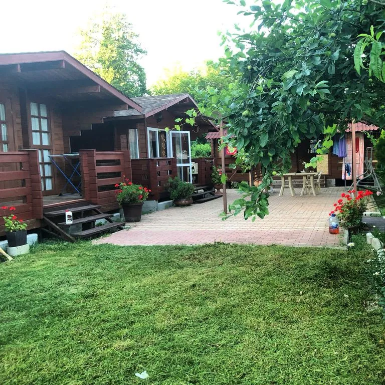 У Рабиновича