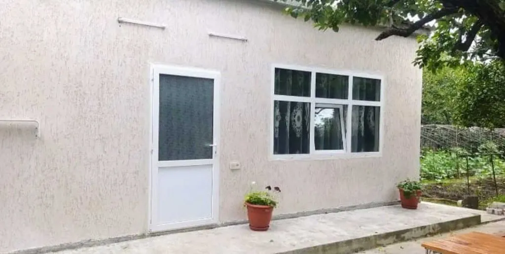 Агава