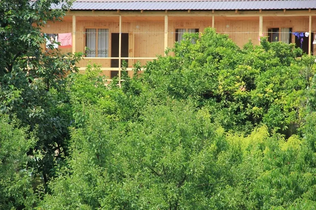 У Ашота и Джульетты