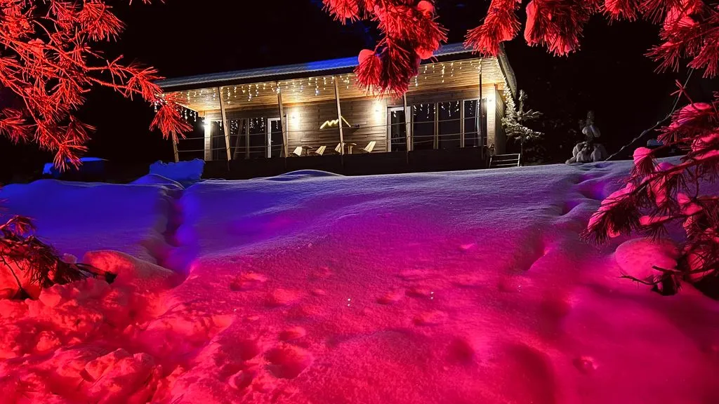 У Беспаловых