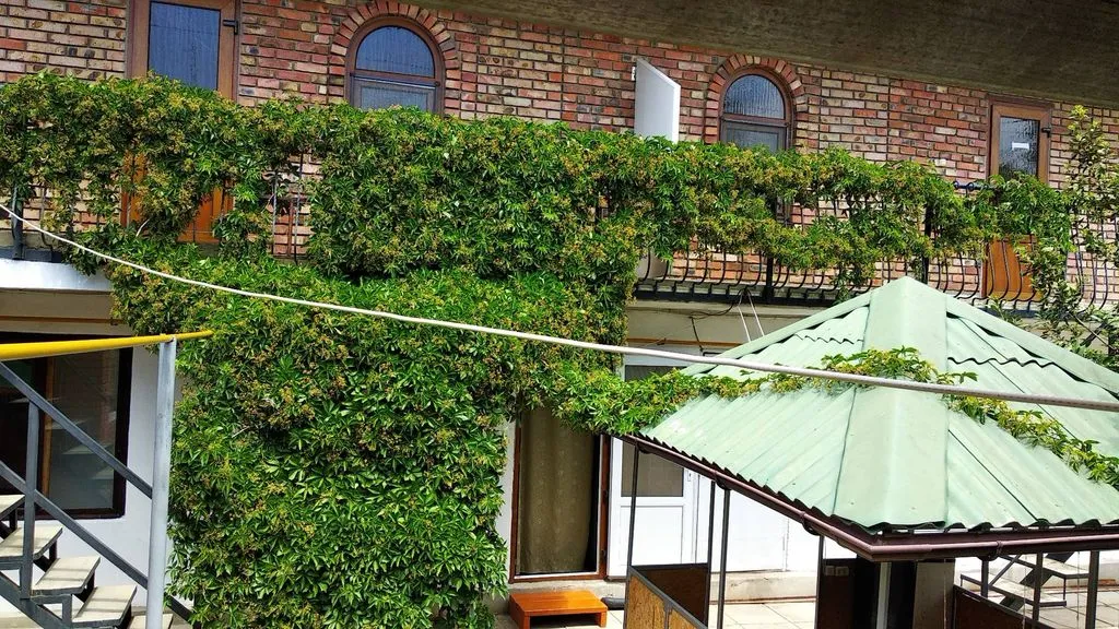 Уютный дворик