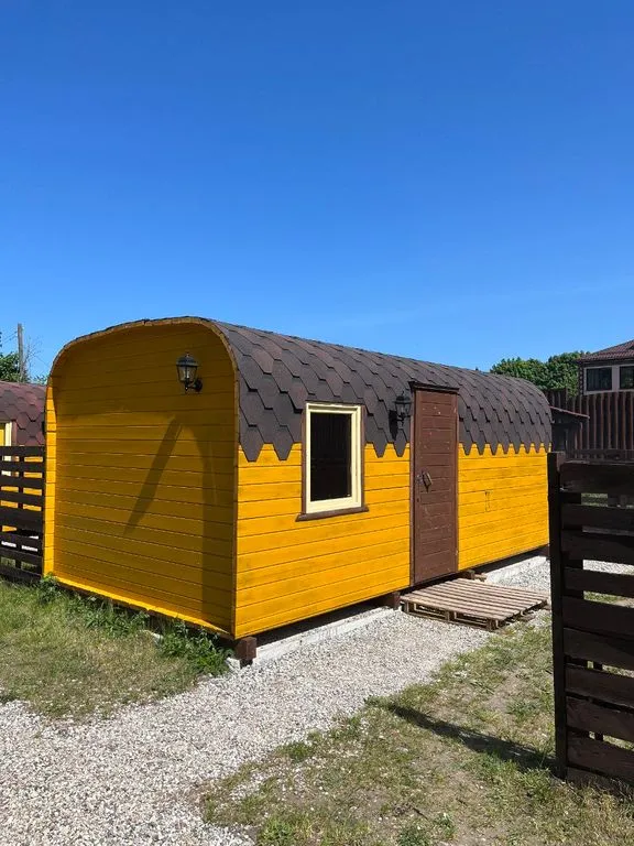 Янтарный Кедр