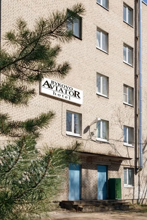 Авиатор Быково