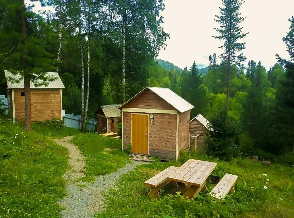 База отдыха «Кедровый берег», Артыбаш — фото 9