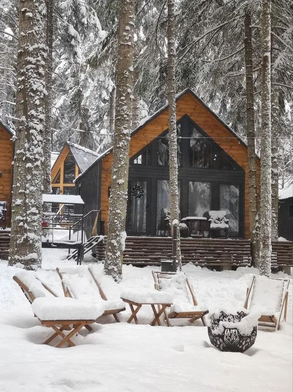 "БАРН и ЛЕС"